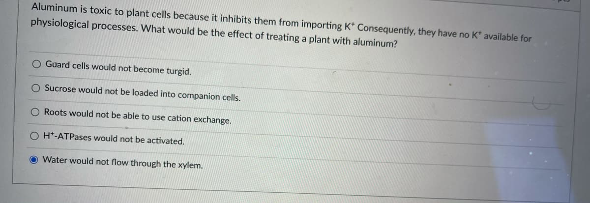 Aluminum is toxic to plant cells because it inhibits them from importing K* Consequently, they have no K* available for
physiological processes. What would be the effect of treating a plant with aluminum?
O Guard cells would not become turgid.
Sucrose would not be loaded into companion cells.
Roots would not be able to use cation exchange.
H*-ATPases would not be activated.
O Water would not flow through the xylem.
