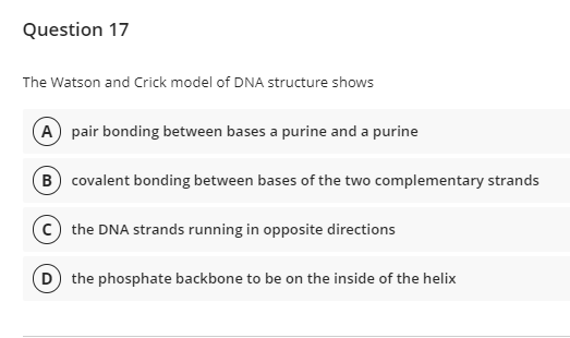 Question 17
The Watson and Crick model of DNA structure shows
A pair bonding between bases a purine and a purine
B covalent bonding between bases of the two complementary strands
C the DNA strands running in opposite directions
D the phosphate backbone to be on the inside of the helix
