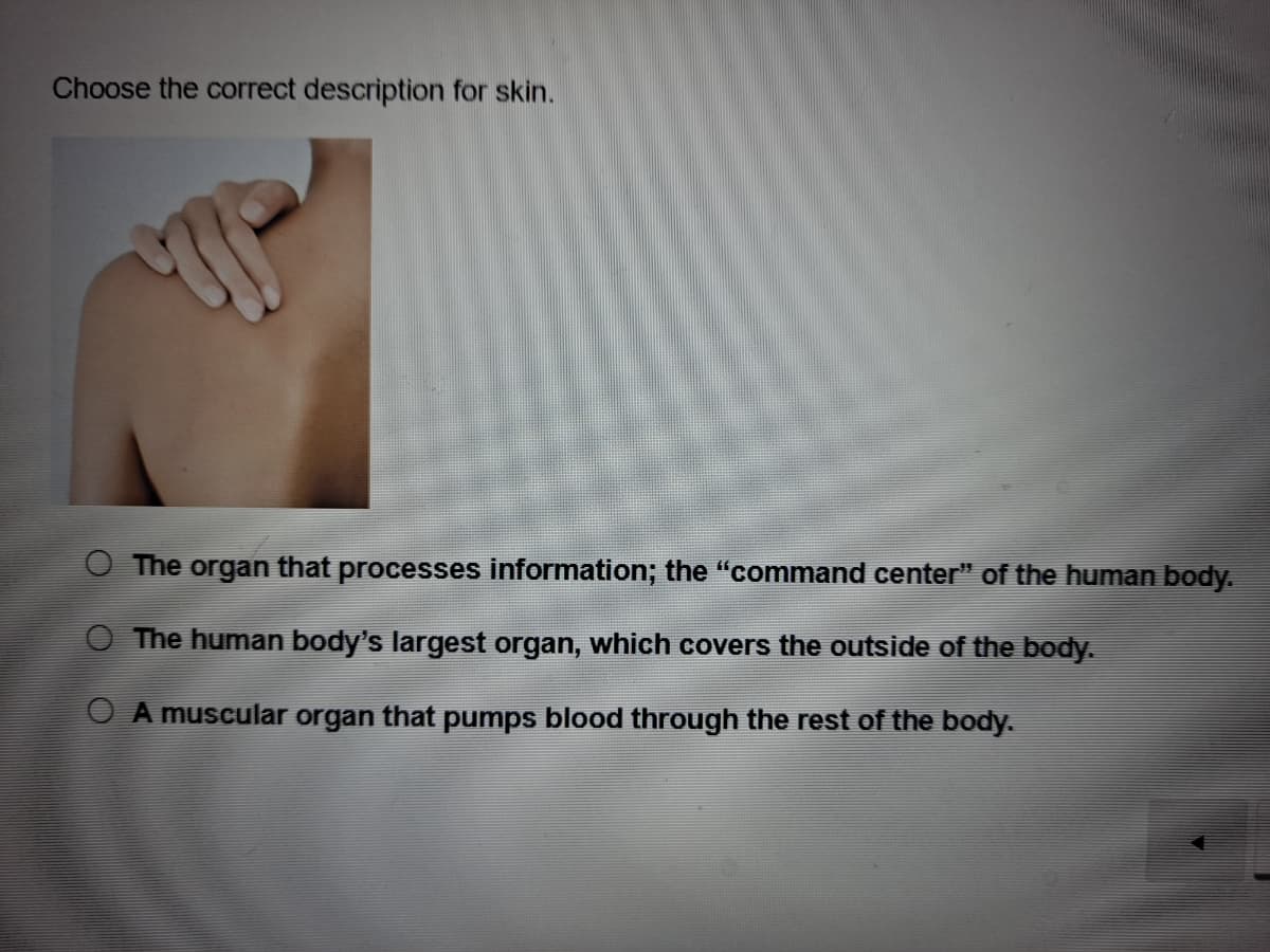 Choose the correct description for skin.
The organ that processes information; the "command center" of the human body.
The human body's largest organ, which covers the outside of the body.
O A muscular organ that pumps blood through the rest of the body.
