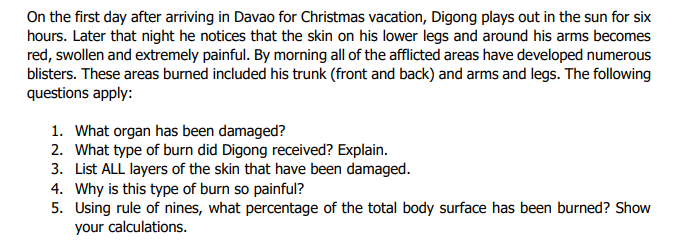 On the first day after arriving in Davao for Christmas vacation, Digong plays out in the sun for six
hours. Later that night he notices that the skin on his lower legs and around his arms becomes
red, swollen and extremely painful. By morning all of the afflicted areas have developed numerous
blisters. These areas burned included his trunk (front and back) and arms and legs. The following
questions apply:
1. What organ has been damaged?
2. What type of burn did Digong received? Explain.
3. List ALL layers of the skin that have been damaged.
4. Why is this type of burn so painful?
5. Using rule of nines, what percentage of the total body surface has been burned? Show
your calculations.
