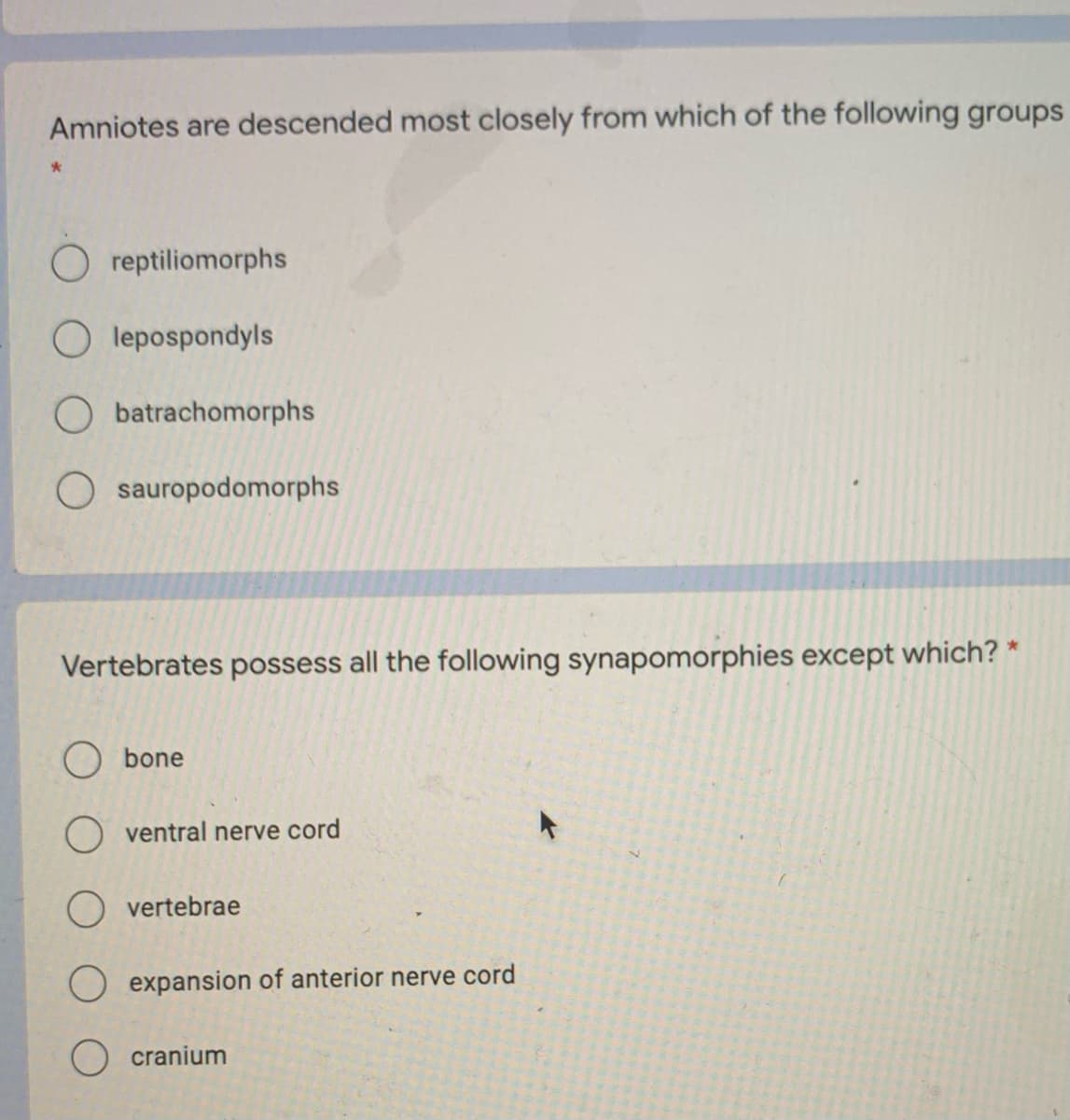 Amniotes are descended most closely from which of the following groups
O reptiliomorphs
O lepospondyls
O batrachomorphs
sauropodomorphs
Vertebrates possess all the following synapomorphies except which? *
O bone
O ventral nerve cord
O vertebrae
O expansion of anterior nerve cord
cranium
