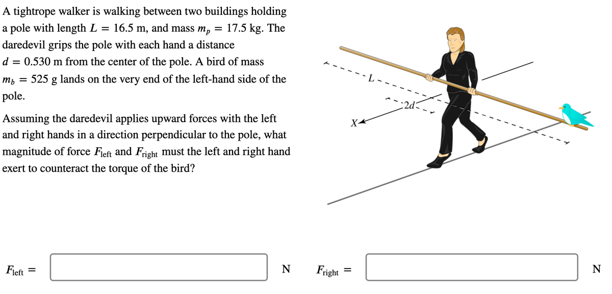 A tightrope walker is walking between two buildings holding
a pole with length L
= 16.5 m, and mass mp
17.5 kg. The
daredevil grips the pole with each hand a distance
d = 0.530 m from the center of the pole. A bird of mass
- 525 g lands on the very end of the left-hand side of the
pole.
Assuming the daredevil applies upward forces with the left
X4
and right hands in a direction perpendicular to the pole, what
magnitude of force Fjeft and Fright must the left and right hand
exert to counteract the torque of the bird?
Fieft
Fright
N
