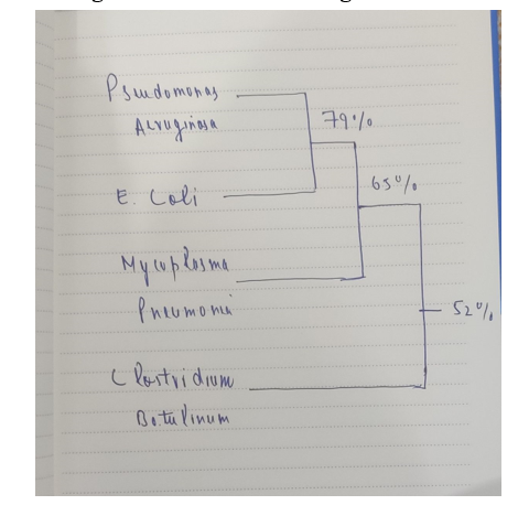 Pseudomonas
Alvaginas a
E. Coli
Mycoplasma
та
Pneumonia
Clostridium
Botulinum
7910
.65%
52%