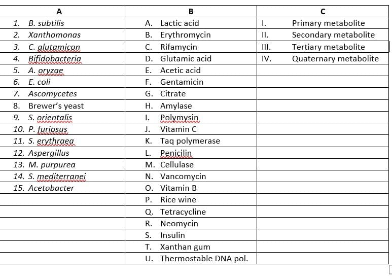 A
В
Primary metabolite
Secondary metabolite
Tertiary metabolite
Quaternary metabolite
1. B. subtilis
A. Lactic acid
I.
2. Xanthomonas
B. Erythromycin
II.
3. C. glutamicon
4. Bifidobacteria
5. A. oryzae
C. Rifamycin
D. Glutamic acid
II.
IV.
E. Acetic acid
F. Gentamicin
6. Е. coli
7. Ascomycetes
G. Citrate
8. Brewer's yeast
H. Amylase
9. S. orientalis
10. P. furiosus
11. S. erythraea
12. Aspergillus
1. Polymysin
J. Vitamin C
K. Taq polymerase
L. Penicilin
M. Cellulase
13. М. рurpиrea
14. S. mediterranei
N. Vancomycin
O. Vitamin B
P. Rice wine
Q. Tetracycline
15. Acetobacter
R. Neomycin
S. Insulin
T. Xanthan gum
U. Thermostable DNA pol.
