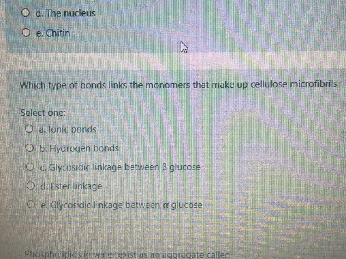 O d. The nucleus
O e. Chitin
Which type of bonds links the monomers that make up cellulose microfibrils
Select one:
O a. lonic bonds
O b. Hydrogen bonds
O c. Glycosidic linkage between B glucose
O d. Ester linkage
O e. Glycosidic linkage between a glucose
Phospholipids in water exist as an aggregate called
