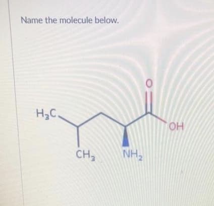 Name the molecule below.
H,C.
HO,
CH,
NH2
