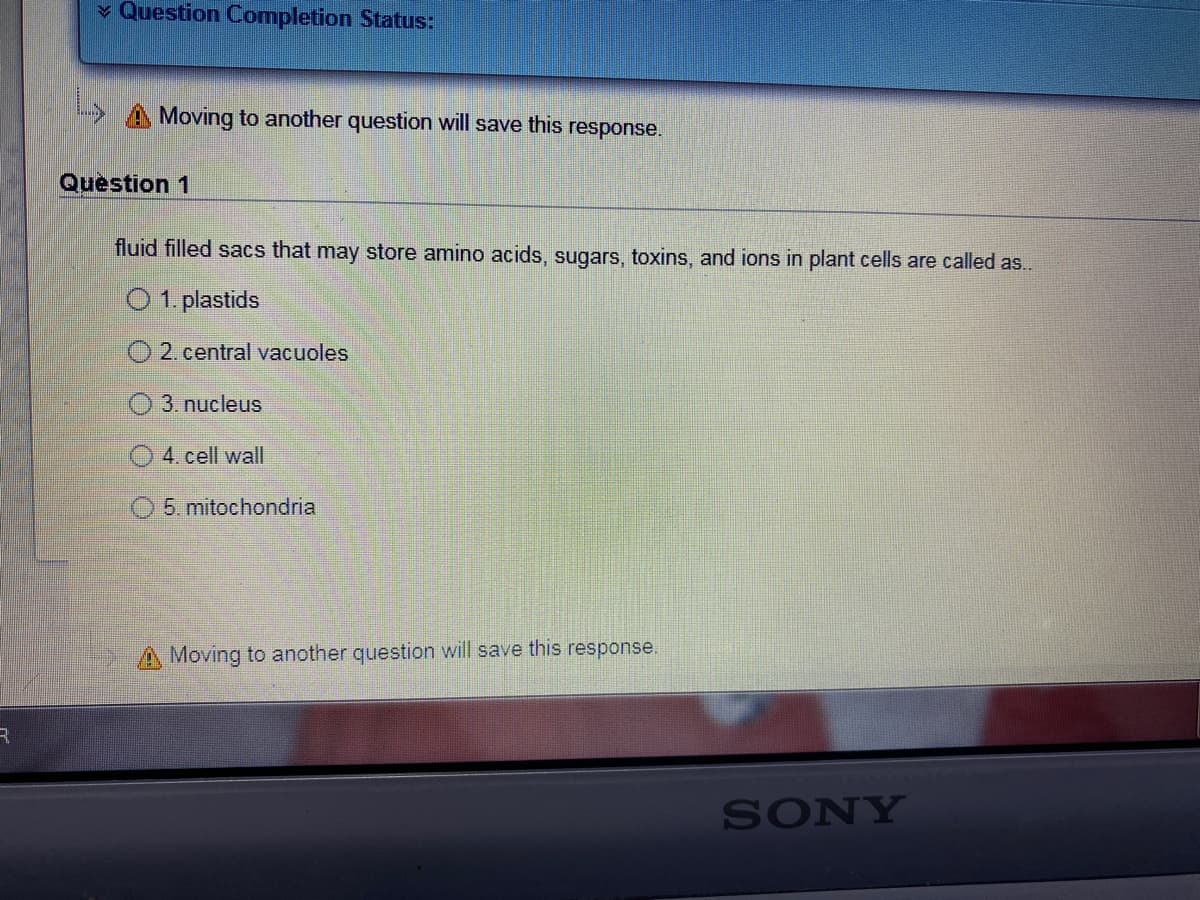 v Question Completion Status:
L A Moving to another question will save this response.
Question 1
fluid filled sacs that may store amino acids, sugars, toxins, and ions in plant cells are called as..
O 1. plastids
2. central vacuoles
3. nucleus
4. cell wall
5. mitochondria
A Moving to another question will save this response.
SONY
