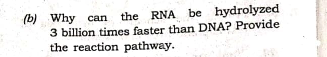 the RNA be hydrolyzed
(b) Why can
3 billion times faster than DNA? Provide
the reaction pathway.
