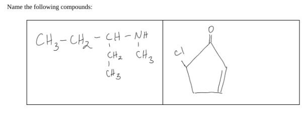 Name the following compounds:
CH3-CHỈ CHÍNH
CH₂ CH3
CH3
디