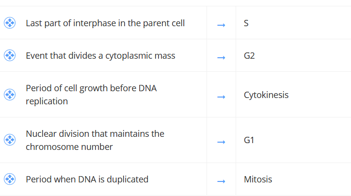 Last part of interphase in the parent cell
Event that divides a cytoplasmic mass
G2
Period of cell growth before DNA
replication
Cytokinesis
Nuclear division that maintains the
G1
chromosome number
Period when DNA is duplicated
Mitosis
