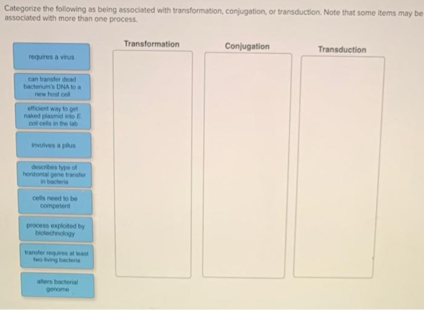 Categorize the following as being associated with transformation, conjugation, or transduction. Note that some items may be
associated with more than one process.
Transformation
Conjugation
Transduction
requires a virus
can transfer dead
bacterium's DNA to a
new host cell
efficient way to get
naked plasmid into E.
coli cells in the lab
involves a pilus
describes type of
horizontal gene transfer
in bacteria
cells need to be
competent
process exploitod by
biotechnology
transfer requires at least
two living bacteria
alters bacterial
genome
