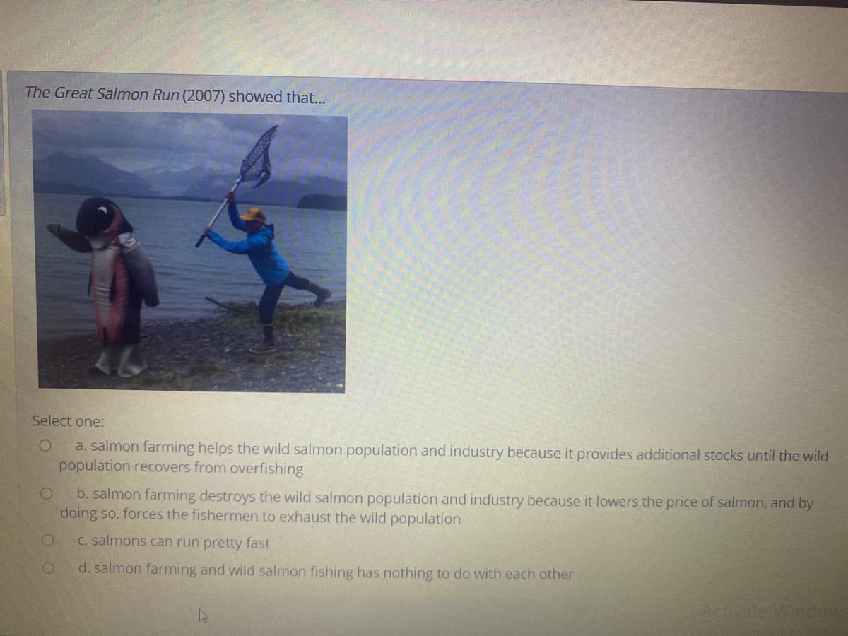 The Great Salmon Run (2007) showed that...
Select one:
a. salmon farming helps the wild salmon population and industry because it provides additional stocks until the wild
population recovers from overfishing
b. salmon farming destroys the wild salmon population and industry because it lowers the price of salmon, and by
doing so, forces the fishermen to exhaust the wild population
C. salmons can run pretty fast
d. salmon farming and wild salmon fishing has nothing to do with each other
Activate Windows
