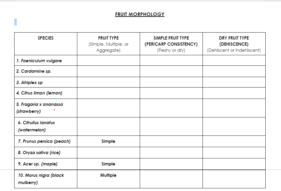 FRUIT MORPHOLOGY
SPECIES
FRUIT TYPE
SIMPLE FRUIT TYPE
DRY FRUIT TYPE
(Simple, Multiple, or
Aggregate)
(PERICARP CONSISTENCY)
(Fleshy or dry)
(DEHISCENCE)
(Dehiscent or indehiscent)
1. Foeniculum vulgare
2. Cardamine sp.
3. Atriplex sp
4. Citrus limon (lemon)
5. Fragaria x ananassa
(strawberry)
6. Citrullus lanatus
(watermelon)
7. Prunus persica (peach)
Simple
8. Oryza sativa (rice)
9. Acer sp. (maple)
Simple
10. Morus nigra (black
Multiple
mulberry)
