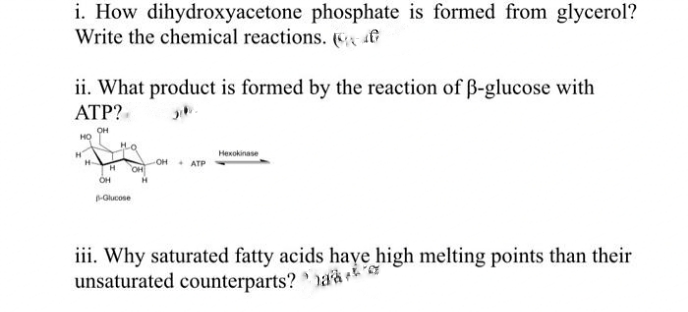 i. How dihydroxyacetone phosphate is formed from glycerol?
Write the chemical reactions. a&
ii. What product is formed by the reaction of B-glucose with
ATP?
OH
HO
Ho
Hexokinase
OH ATP
OH
OH
Glucose
iii. Why saturated fatty acids haye high melting points than their
unsaturated counterparts? naà k7
