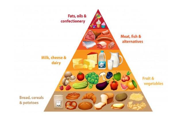 Fats, oils &
confectionery
Meat, fish &
alternatives
Milk, cheese &
dairy
Fruit &
vegetables
Bread, cereals
& potatoes
