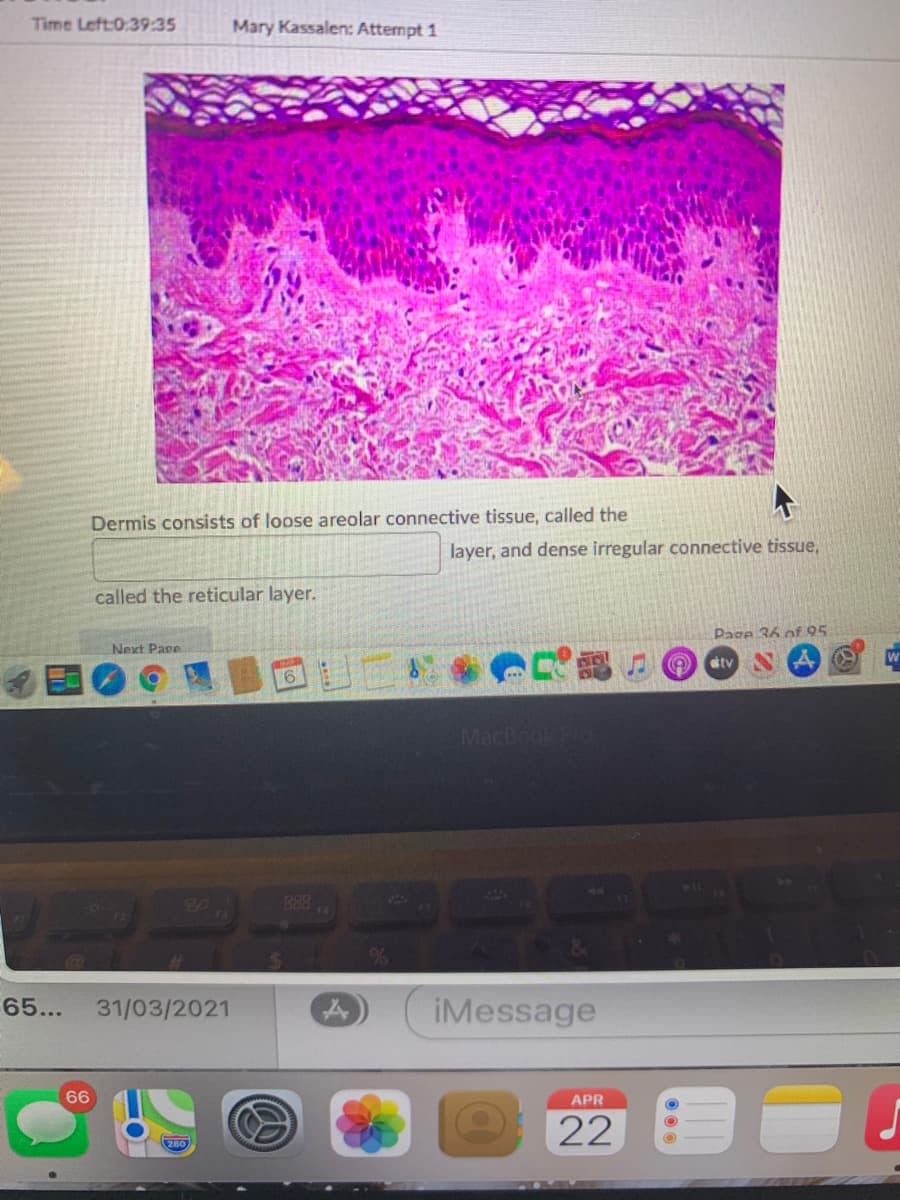 Time Left:0:39:35
Mary Kassalen: Attempt 1
Dermis consists of loose areolar connective tissue, called the
layer, and dense irregular connective tissue,
called the reticular layer.
Page 36 of 95
Next Pape
otv
MacBook Pro
B88
44
65...
31/03/2021
iMessage
66
APR
22
280
