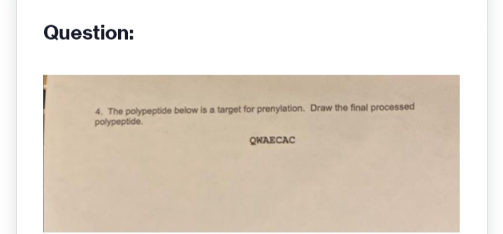 Question:
4. The polypeptide below is a target for prenylation. Draw the final processed
polypeptide.
QWAECAC