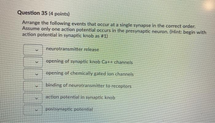 Question 35 (4 points)
Arrange the following events that occur at a single synapse in the correct order.
Assume only one action potential occurs in the presynaptic neuron. (Hint: begin with
action potential in synaptic knob as #1)
neurotransmitter release
opening of synaptic knob Ca++ channels
opening of chemically gated ion channels
binding of neurotransmitter to receptors
action potential in synaptic knob
postsynaptic potential
