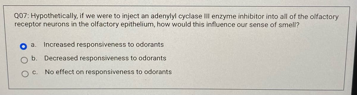 Q07: Hypothetically, if we were to inject an adenylyl cyclase III enzyme inhibitor into all of the olfactory
receptor neurons in the olfactory epithelium, how would this influence our sense of smell?
a. Increased responsiveness to odorants
b. Decreased responsiveness to odorants
C. No effect on responsiveness to odorants