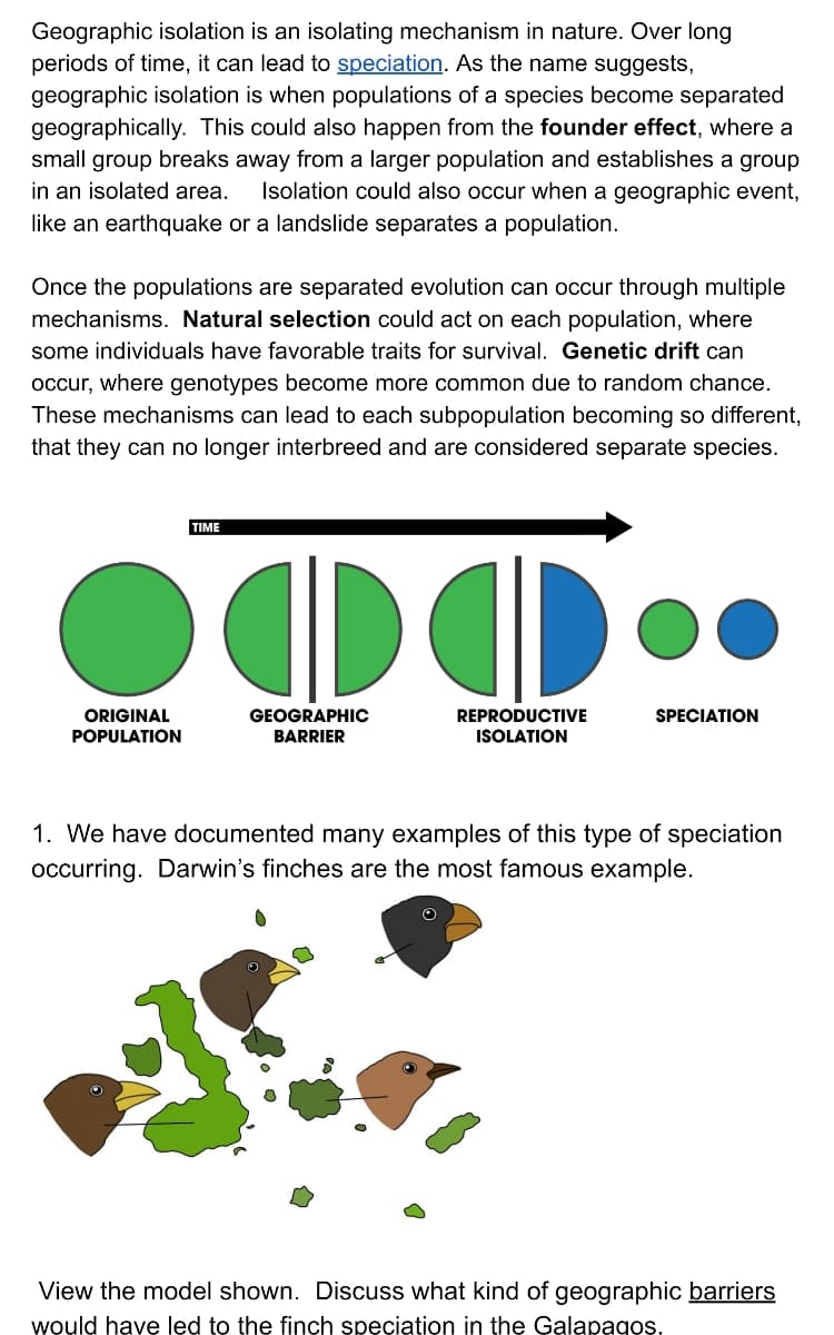 Geographic isolation is an isolating mechanism in nature. Over long
periods of time, it can lead to speciation. As the name suggests,
geographic isolation is when populations of a species become separated
geographically. This could also happen from the founder effect, where a
small group breaks away from a larger population and establishes a group
in an isolated area.
Isolation could also occur when a geographic event,
like an earthquake or a landslide separates a population.
Once the populations are separated evolution can occur through multiple
mechanisms. Natural selection could act on each population, where
some individuals have favorable traits for survival. Genetic drift can
occur, where genotypes become more common due to random chance.
These mechanisms can lead to each subpopulation becoming so different,
that they can no longer interbreed and are considered separate species.
TIME
●00
•
ORIGINAL
GEOGRAPHIC
REPRODUCTIVE
SPECIATION
POPULATION
BARRIER
ISOLATION
1. We have documented many examples of this type of speciation
occurring. Darwin's finches are the most famous example.
View the model shown. Discuss what kind of geographic barriers
would have led to the finch speciątion in the Galapagos.
