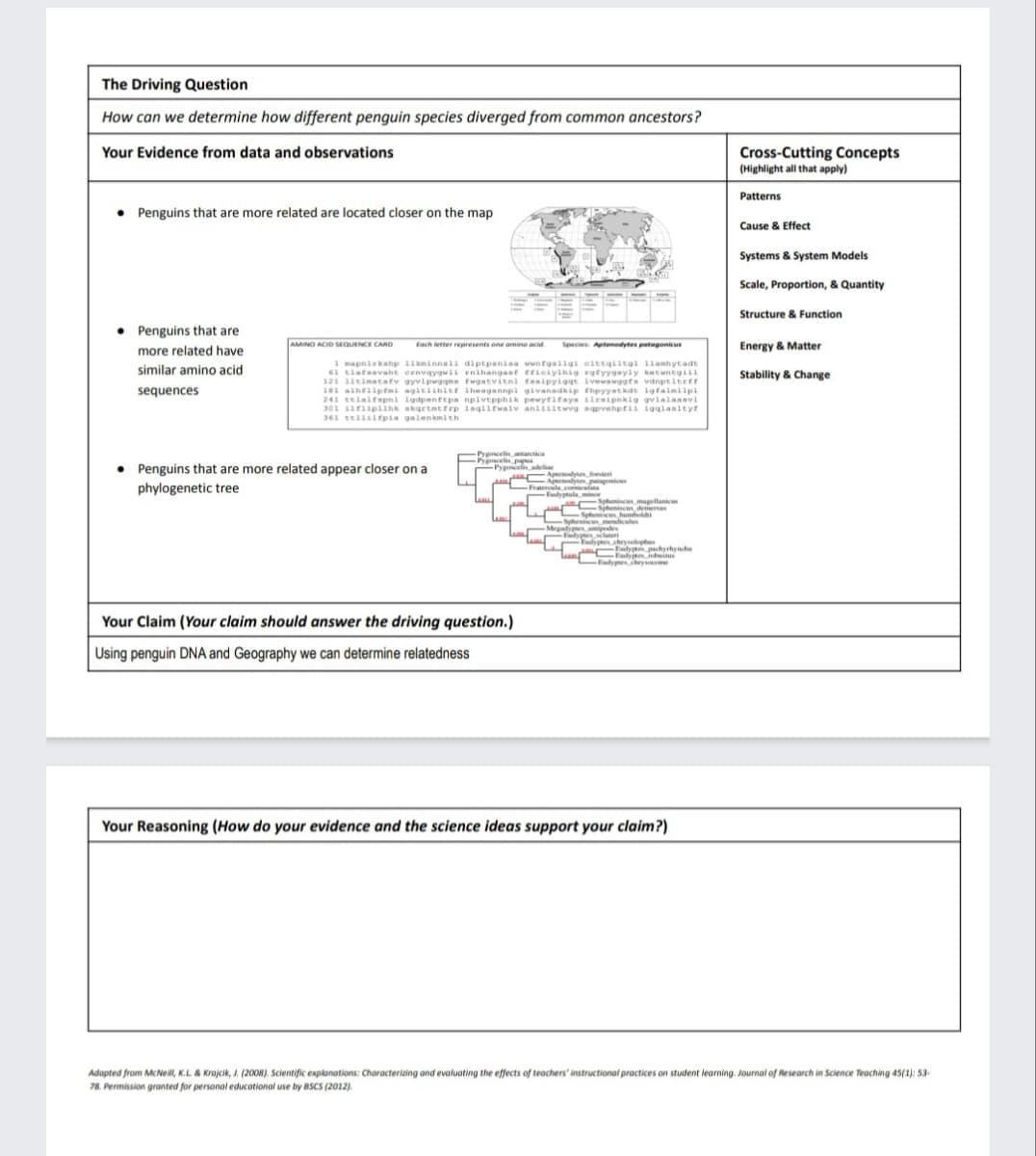 The Driving Question
How can we determine how different penguin species diverged from common ancestors?
Your Evidence from data and observations
Cross-Cutting Concepts
(Highlight all that apply)
Patterns
• Penguins that are more related are located closer on the map
Cause & Effect
Systems & System Models
Scale, Proportion, & Quantity
Structure & Function
• Penguins that are
AMINO ACD SEQUENCE CARD
Species Aptenodytes potogonicus
Energy & Matter
Each letter represents one amino acid
more related have
1 mapnirkahp 11kminnali diptpanisa wwntgaligi clttqiitgl 1lamhytadt
61 tiafaavaht eenvqygwi rnihangast tticiyihig rgfyygayly ketwntgill
121 1leimatatv gyvipwggme twgatvitni teaipyiggt ivewawggta vdnptitrtt
101 alheiiptmi agitlihitr iheagannpl givanadkip thpyyatkdt 1gtalmlipl
241 telaifapni igdpenftpa nplvtpphik pewytifaya iirsipnkig gvlalaasvi
301 1iriiplihk akgrtmtfrp laqlifwalv anliiltwvg sapvehprii 1gglasltyr
361 ttlliifpia galenkmlth
similar amino acid
Stability & Change
sequences
Pygoscelisarcica
-Pyoscelis pap
Pygosceliadeliae
• Penguins that are more related appear closer on a
otenedtenfoeri
Aptendyten foteri
Aptenodyten.patagonicus
phylogenetic tree
Fraterlacolta
Fudyptula mier
-Sphenine
Spheniscus humh
Spheniscusmapellanic
incus demeres
boldi
Sphenices memdiculus
Megadypesatipdes
dypes_lateri
Tndyges chrysophu
Endypte.pachyrhynchu
Endyjten inbuitu
Emhutes chrysoome
Your Claim (Your claim should answer the driving question.)
Using penguin DNA and Geography we can determine relatedness
Your Reasoning (How do your evidence and the science ideas support your claim?)
Adopted from Mc Nel, K.L & Krajcik, . (2008). Scientific explanations: Characterizing and evaluating the effects of teachers' instructional practices on student learning. Journal of Research in Science Teaching 45(1): 53-
78. Permission granted for personal educational use by BSCS (2012).
