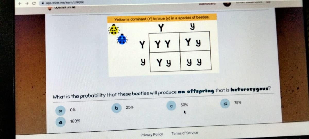 app wizer.me/learn/t1900K
WALKE.FUG
a
0%
100%
Yellow is dominant (Y) to blue (y) in a species of beetles.
Y
y
What is the probability that these beetles will produce an offspring that is heterozygous?
Y
y
b 25%
YY
YYYY
Yyyy
Privacy Policy
Uasnovaro
с
50%
Terms of Service
d
75%