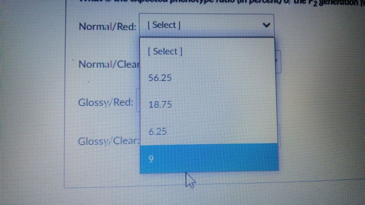 Normal/Red: Select]
| Select]
Normal/Clear
56.25
Glossy/Red.
18.75
6.25
Glossy Clear
