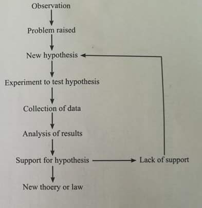 Observation
Problem raised
New hypothesis
Experiment to test hypothesis
Collection of data
Analysis of results
Support for hypothesis
Lack of support
New thoery or law
