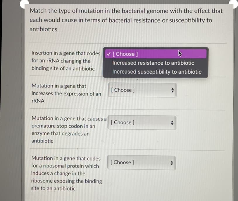 Match the type of mutation in the bacterial genome with the effect that
each would cause in terms of bacterial resistance or susceptibility to
antibiotics
Insertion in a gene that codes
V [ Choose]
for an rRNA changing the
binding site of an antibiotic
Increased resistance to antibiotic
Increased susceptibility to antibiotic
Mutation in a gene that
[ Choose ]
increases the expression of an
FRNA
Mutation in a gene that causes a
[ Choose ]
premature stop codon in an
enzyme that degrades an
antibiotic
Mutation in a gene that codes
[ Choose ]
for a ribosomal protein which
induces a change in the
ribosome exposing the binding
site to an antibiotic
