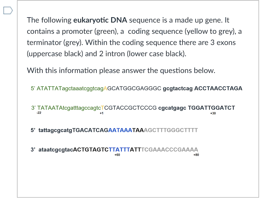 The following eukaryotic DNA sequence is a made up gene.
It
contains a promoter (green), a coding sequence (yellow to grey), a
terminator (grey). Within the coding sequence there are 3 exons
(uppercase black) and 2 intron (lower case black).
With this information please answer the questions below.
5' ATATTATagctaaatcggtcagAGCATGGCGAGGGC gcgtactcag ACCTAACCTAGA
3' TATAATAtcgatttagccagtcTCGTACCGCTCCCG cgcatgagc TGGATTGGATCT
-22
+30
5' tattagcgcatgTGACATCAGAATAAATAAAGCTTTGGGCTTTT
3' ataatcgcgtacACTGTAGTCTTATTTATTTCGAAACcCGAAAA
+60
+80
