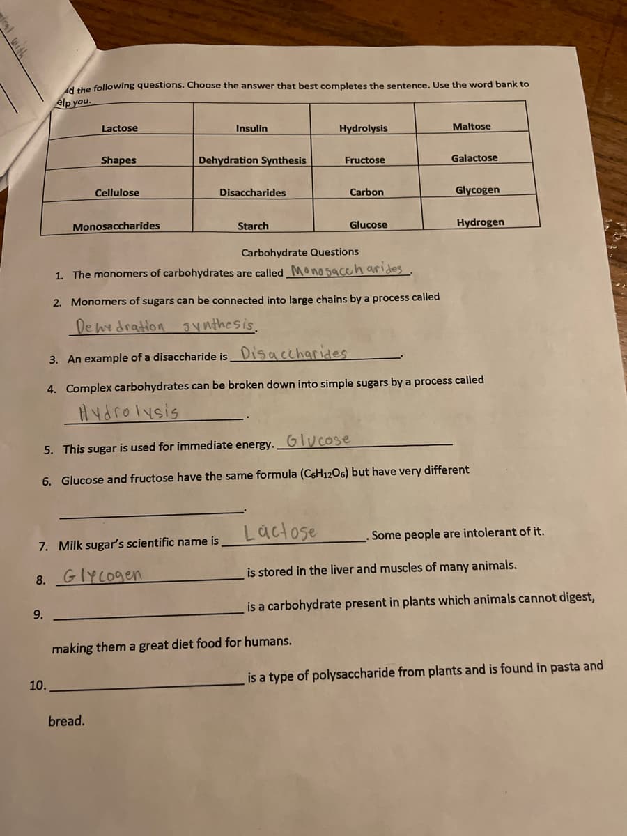 Ad the following questions. Choose the answer that best completes the sentence. Use the word bank to
elp you.
8.
9.
Lactose
10.
Shapes
Cellulose
Monosaccharides
7. Milk sugar's scientific name is
Glycogen
bread.
Insulin
Dehydration Synthesis
Disaccharides
Starch
Hydrolysis
Lactose
Fructose
Carbohydrate Questions
1. The monomers of carbohydrates are called Monosaccharides
2. Monomers of sugars can be connected into large chains by a process called
Dewedration synthesis.
3. An example of a disaccharide is Disaccharides
4. Complex carbohydrates can be broken down into simple sugars by a process called
Hydrolysis
making them a great diet food for humans.
Carbon
5. This sugar is used for immediate energy..
Glucose
6. Glucose and fructose have the same formula (C6H12O6) but have very different
Glucose
Maltose
Galactose
Glycogen
Hydrogen
. Some people are intolerant of it.
is stored in the liver and muscles of many animals.
is a carbohydrate present in plants which animals cannot digest,
is a type of polysaccharide from plants and is found in pasta and