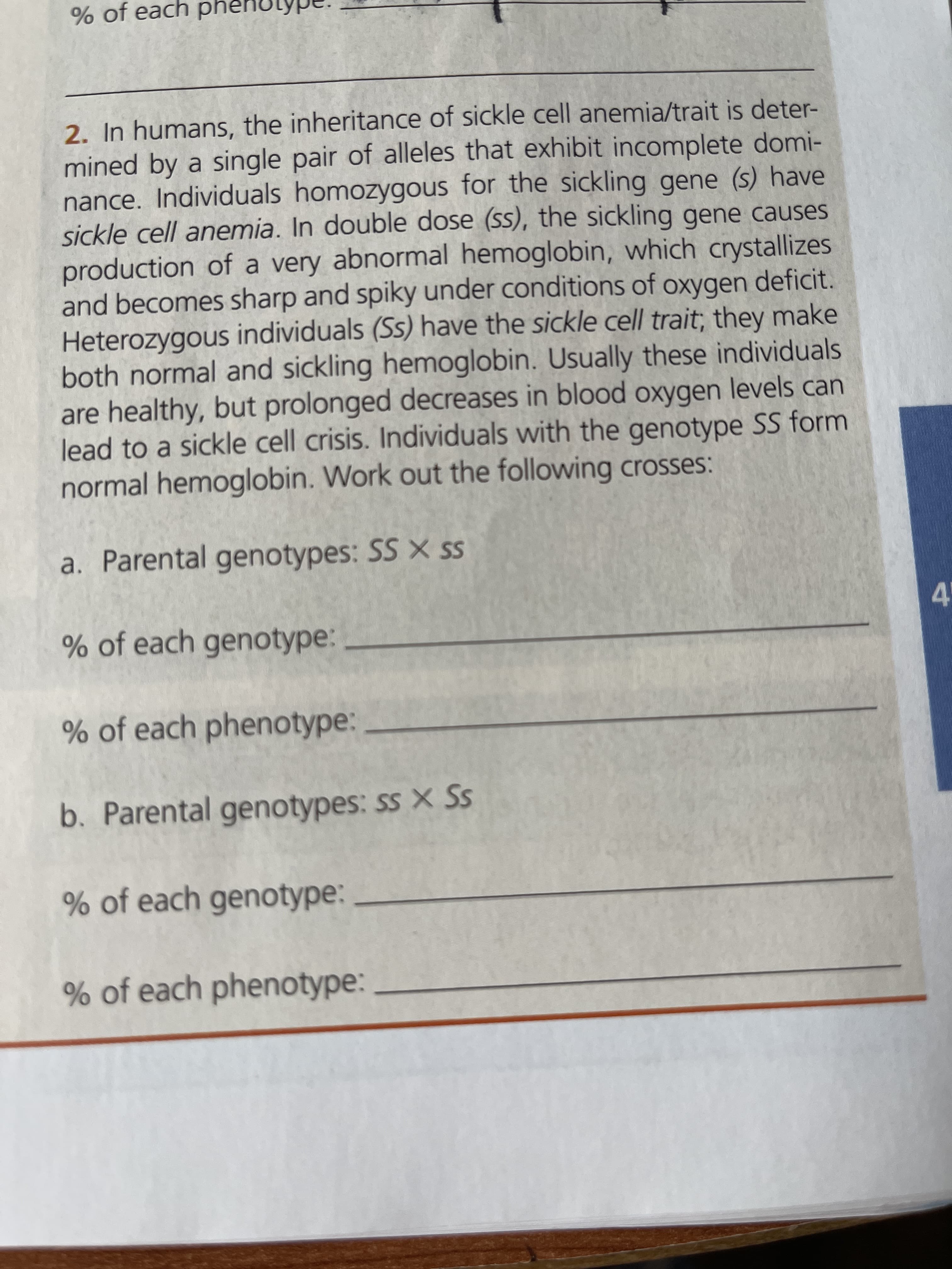 % of each phê
2. In humans, the inheritance of sickle cell anemia/trait is deter-
mined by a single pair of alleles that exhibit incomplete domi-
nance. Individuals homozygous for the sickling gene (s) have
sickle cell anemia. In double dose (ss), the sickling gene causes
production of a very abnormal hemoglobin, which crystallizes
and becomes sharp and spiky under conditions of oxygen deficit.
Heterozygous individuals (Ss) have the sickle cell trait; they make
both normal and sickling hemoglobin. Usually these individuals
are healthy, but prolonged decreases in blood oxygen levels can
lead to a sickle cell crisis. Individuals with the genotype SS form
normal hemoglobin. Work out the following crosses:
a. Parental genotypes: SS × SS
% of each genotype:
41
% of each phenotype:
b. Parental genotypes: ss X Ss
% of each genotype:
% of each phenotype:
