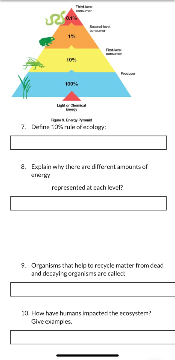Third-level
consumer
0.1%
Second-level
consumer
1%
First-level
consumer
10%
Producer
100%
Light or Chemical
Energy
Figure 9. Energy Pyramid
7. Define 10% rule of ecology:
8. Explain why there are different amounts of
energy
represented at each level?
9. Organisms that help to recycle matter from dead
and decaying organisms are called:
10. How have humans impacted the ecosystem?
Give examples.
