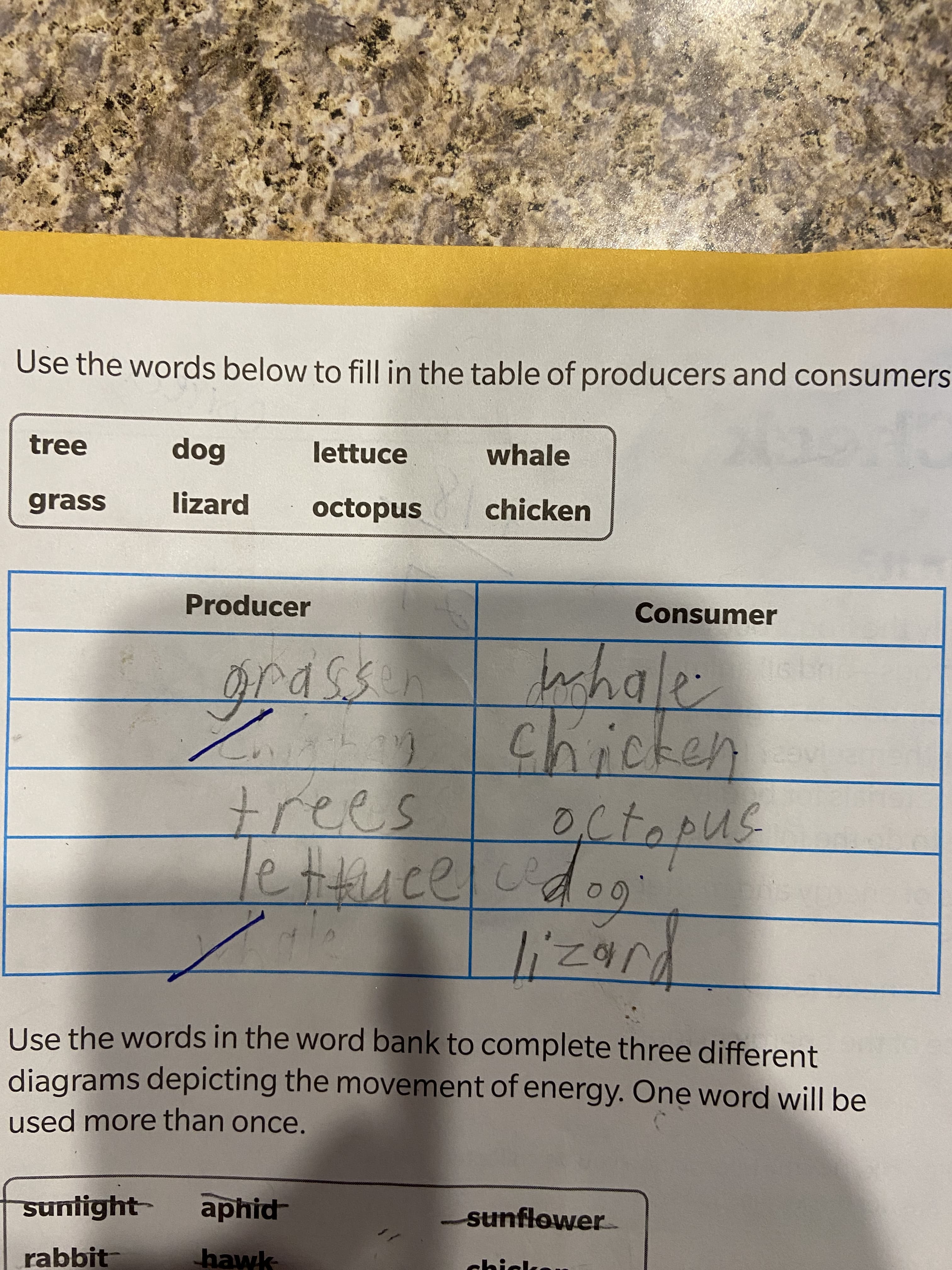 Use the words below to fill in the table of producers and consumers
tree
whale
bop
lizard
lettuce
grass
octopus
chicken
Producer
Consumer
Ichale
byn
chicken
el
कमर्षण्य बि
こoz.l
Use the words in the word bank to complete three different
diagrams depicting the movement of energy. One word will be
used more than once.
suntight
aphid
sunflower
rabbit
hawk
