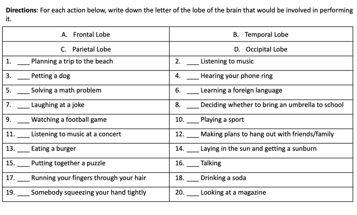 Directions: For each action below, write down the letter of the lobe of the brain that would be involved in performing
it.
A. Frontal Lobe
B. Temporal Lobe
C. Parietal Lobe
D. Occipital Lobe
1.
Planning a trip to the beach
2.
Listening to music
3.
Petting a dog
Hearing your phone ring
5.
Solving a math problem
6.
Learning a foreign language
7.
Laughing at a joke
8.
Deciding whether to bring an umbrella to school
9.
Watching a football
game
10.
Playing a sport
11.
Listening to music at a concert
12.
Making plans to hang out with friends/family
13.
Eating a burger
14.
Laying in the sun and getting a sunburn
15.
Putting together a puzzle
16.
Talking
17.
Running your fingers through your hair
18.
Drinking a soda
19.
Somebody squeezing your hand tightly
20.
Looking at a magazine
4.
