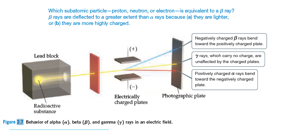 Which subatomic particle-proton, neutron, or electron-is equivalent to a B ray?
B rays are deflected to a greater extent than a rays because (a) they are lighter,
or (b) they are more highly charged.
Negatively charged B rays bend
toward the positively charged plate.
|(+)
y rays, which carry no charge, are
Lead block
unaffected by the charged plates.
Positively charged a rays bend
toward the negatively charged
plate.
(-)
Photographic plate
Electrically
charged plates
Radioactive
substance
Figure 2.7 Behavior of alpha (æ), beta (B), and gamma (y) rays in an electric field.
