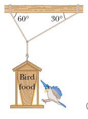 (60°
30°
Bird
food
