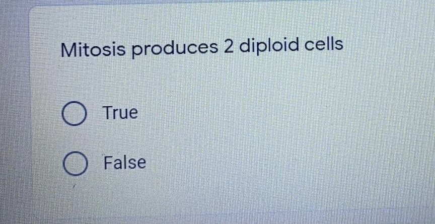 Mitosis produces 2 diploid cells
O True
O False
