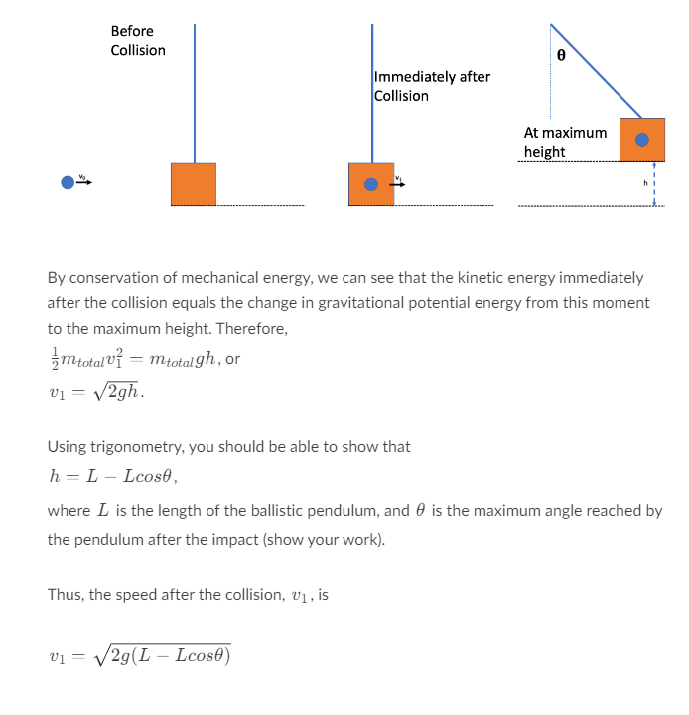 Before
Collision
Immediately after
Collision
By conservation of mechanical energy, we can see that the kinetic energy immediately
after the collision equals the change in gravitational potential energy from this moment
to the maximum height. Therefore,
mtotal= mtotalgh, or
v₁ = √2gh.
Using trigonometry, you should be able to show that
h = L - Lcose,
Thus, the speed after the collision, v₁, is
At maximum
height
where I is the length of the ballistic pendulum, and is the maximum angle reached by
the pendulum after the impact (show your work).
v₁ = √√2g(L Lcose)