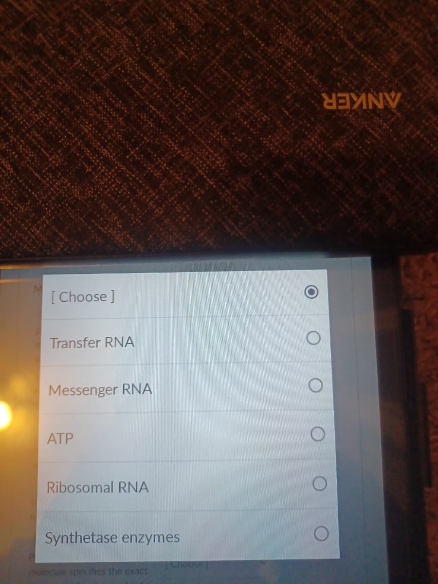 [Choose ]
Transfer RNA
Messenger RNA
ATP
Ribosomal RNA
Synthetase enzymes
molecule specifies the exact
Choose
O
8EXINV
O
O