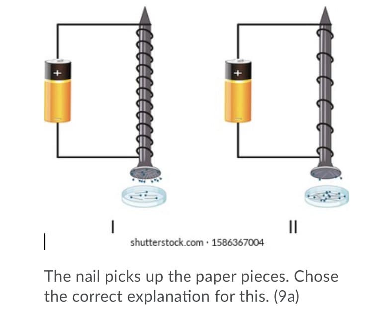 II
shutterstock.com · 1586367004
The nail picks up the paper pieces. Chose
the correct explanation for this. (9a)
