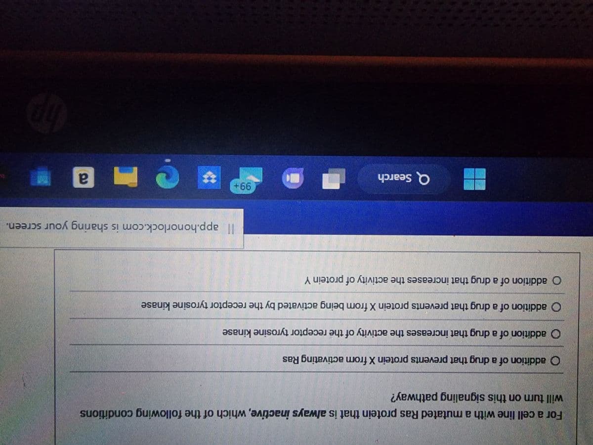 For a cell line with a mutated Ras protein that is always inactive, which of the following conditions
will turn on this signaling pathway?
addition of a drug that prevents protein X from activating Ras
addition of a drug that increases the activity of the receptor tyrosine kinase
Ⓒaddition of a drug that prevents protein X from being activated by the receptor tyrosine kinase
Ⓒaddition of a drug that increases the activity of protein Y
Q Search
Il app.honorlock.com is sharing your screen.
99+
?
a
hp