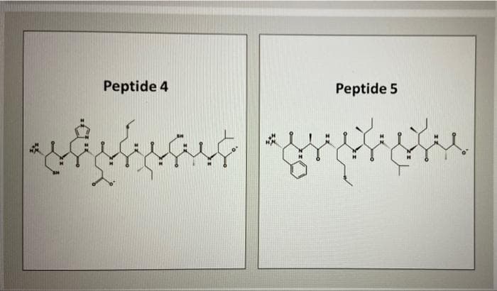 Peptide 4
اب
ا
Peptide 5