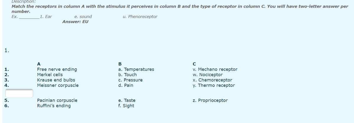 Description:
Match the receptors in column A with the stimulus it perceives in column B and the type of receptor in column C. You will have two-letter answer per
number.
Ex.
1. Ear
e. sound
u. Phenoreceptor
Answer: EU
1.
A
В
v. Mechano receptor
w. Nociceptor
x. Chemoreceptor
y. Thermo receptor
1.
Free nerve ending
a. Temperatures
b. Touch
c. Pressure
d. Pain
2.
Merkel cells
3.
Krause end bulbs
4.
Meissner corpuscle
Pacinian corpuscle
Ruffini's ending
e. Taste
f. Sight
5.
z. Proprioceptor
6.
