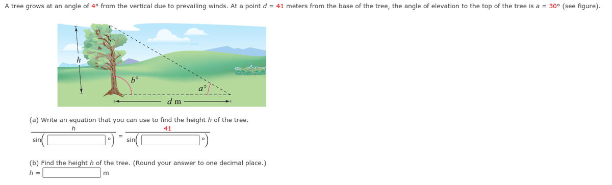 A tree grows at an angle of 4° from the vertical due to prevailing winds. At a point d = 41 meters from the base of the tree, the angle of elevation to the top of the tree is a = 30° (see figure).
b°
d m
(a) Write an equation that you can use to find the height h of the tree.
h
41
sin
sin
(b) Find the height h of the tree. (Round your answer to one decimal place.)
h =
m
