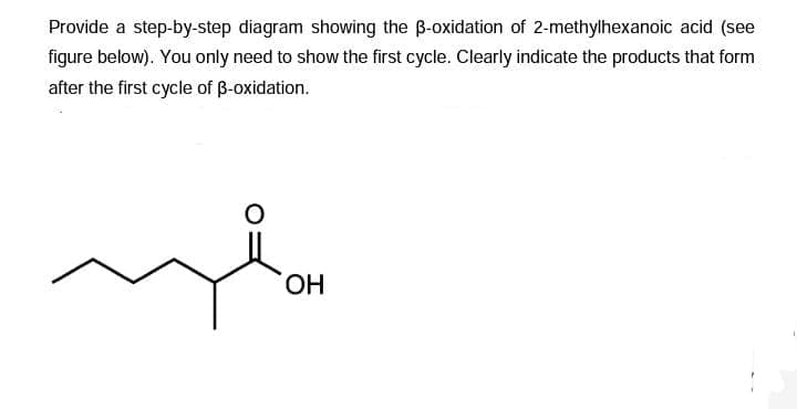 Provide a step-by-step diagram showing the B-oxidation of 2-methylhexanoic acid (see
figure below). You only need to show the first cycle. Clearly indicate the products that form
after the first cycle of B-oxidation.
