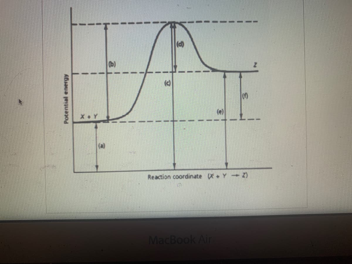 (d)
(b)
(e)
Reaction coordinate (X Y
52)
MacBook Air
Potential energy
