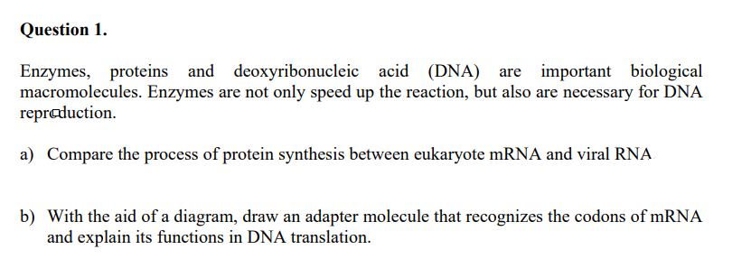 Question 1.
Enzymes, proteins and deoxyribonucleic acid (DNA)
macromolecules. Enzymes are not only speed up the reaction, but also are necessary for DNA
repreduction.
are important biological
a) Compare the process of protein synthesis between eukaryote mRNA and viral RNA
b) With the aid of a diagram, draw an adapter molecule that recognizes the codons of mRNA
and explain its functions in DNA translation.
