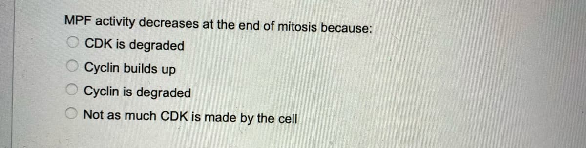 MPF activity decreases at the end of mitosis because:
CDK is degraded
Cyclin builds up
Cyclin is degraded
Not as much CDK is made by the cell
O O O O
