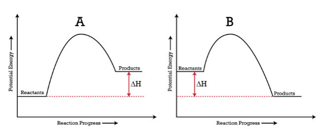A
В
Products
Reactants
AH
AH
Reactants
Products
Reaction Progress
Reaction Progress
Potential Energy
Potential Energy

